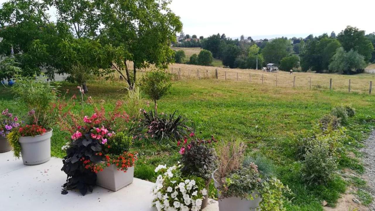 Villa Elegante A Panissieres Avec Piscine Privee エクステリア 写真