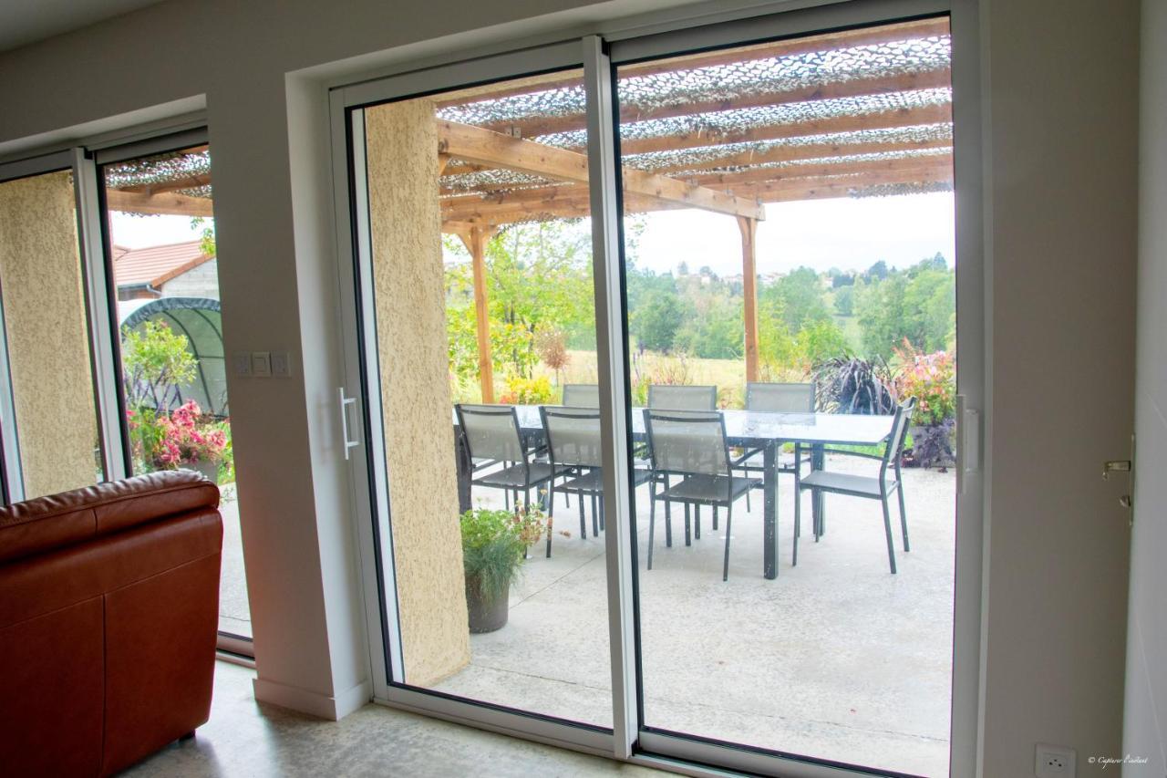 Villa Elegante A Panissieres Avec Piscine Privee エクステリア 写真